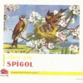buvard-spigol 01
