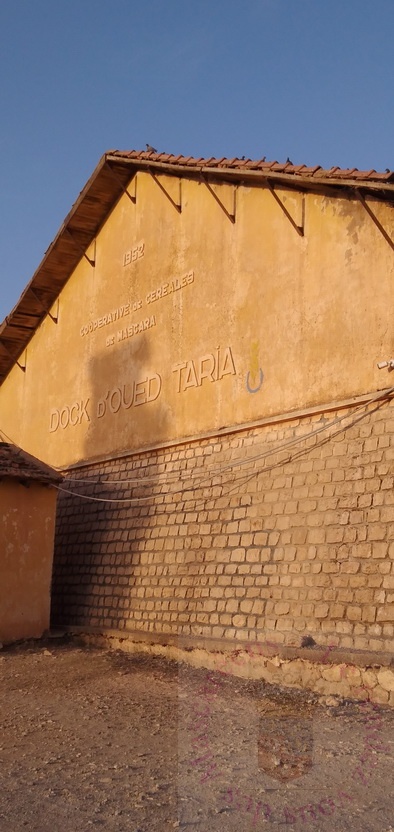 Oued Taria cooperative 2020