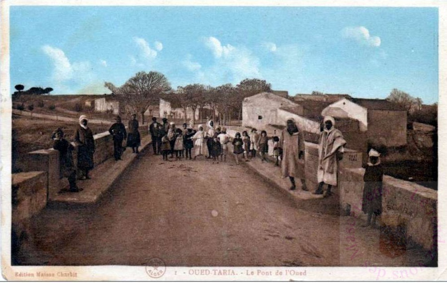oued-taria-pont-oued