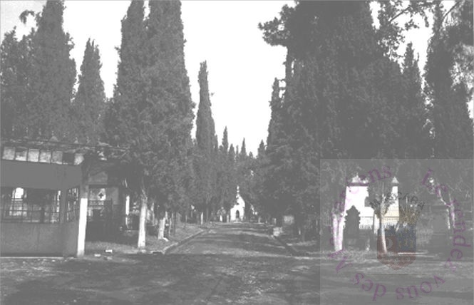 Cimeti&egrave;re catholique