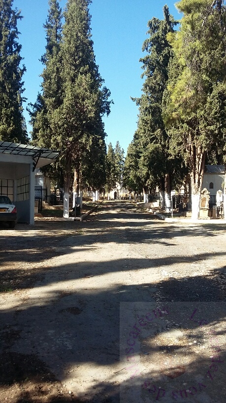 cimetiere mascara 2015 2